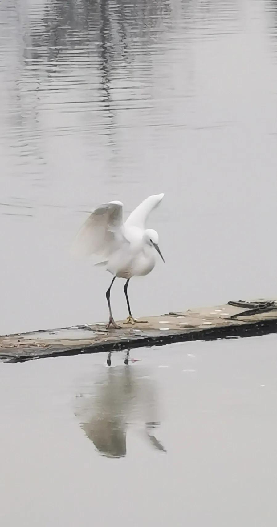 手拍世界作品集402期,2022年世界手机摄影大赛征稿