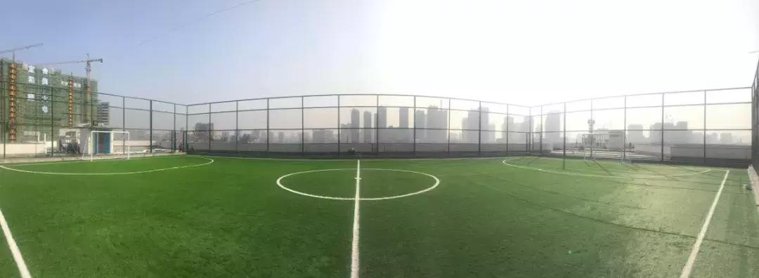 带屋顶的足球场,带屋顶的大型足球场