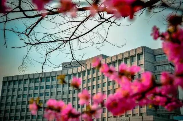 大连海事大学辽宁省大学排名,孔峰辽宁省教育厅大连海事大学