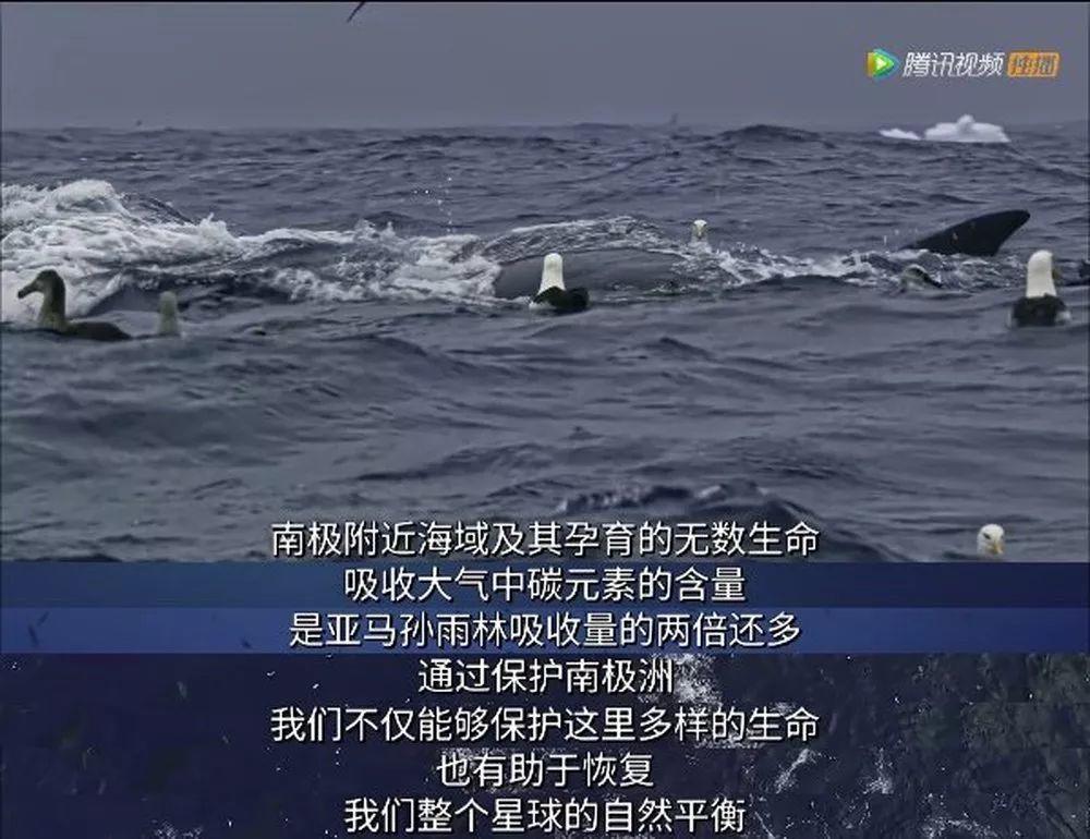 炸裂9.9,BBC再出神片,美得让人脸红