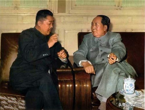 盘点:毛*东泽**对十大元帅的独特评价