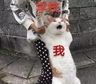 军训难忘的经典故事,大学军校军训都有哪些内容