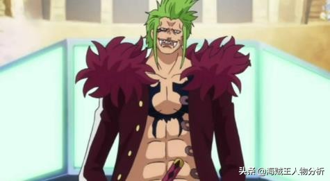 海贼王草帽海贼团11个成员,海贼王草帽大船团队员叫什么