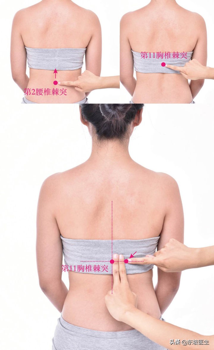 脾虚湿气重导致虚胖怎么解决,虚胖脾湿怎么调理会瘦