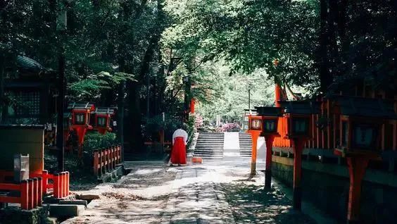 *拜参**过日本这些超灵验的恋爱神社，来年不再过“双十一”