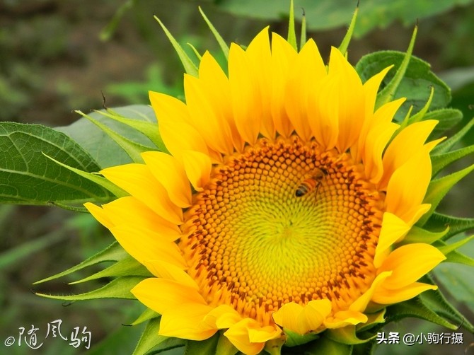 单车骑行无锡,无锡单车骑行路线