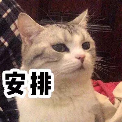 2021日本cosme大赏遮瑕,cosme大赏补水精华