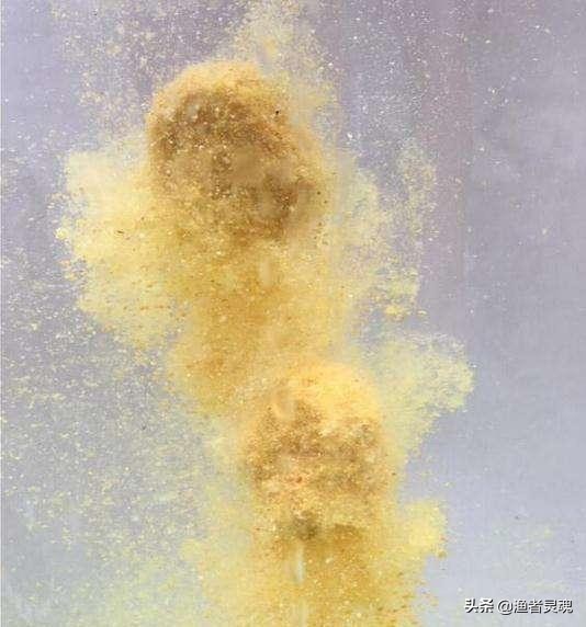 黑坑钓鲤鱼黄面面饵料配方,黑坑黄面鱼饵料配方