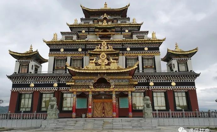 夏天的草原玛曲,夏天的玛曲草原