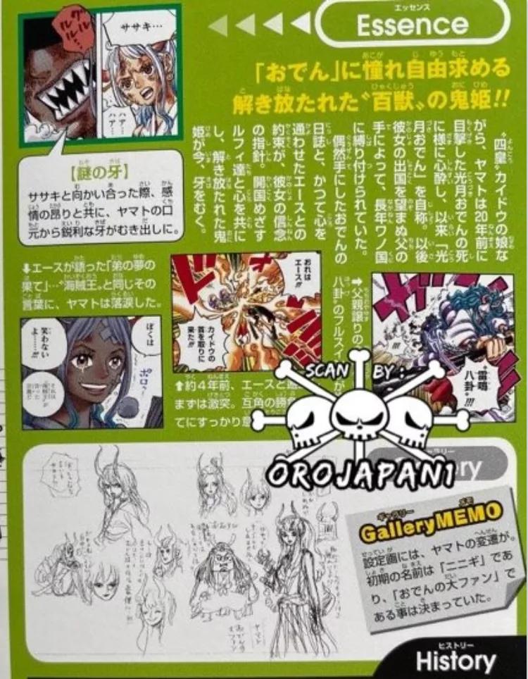 海贼王：大和生命卡爆出，没有霸王色？网友：还是国外的瓜清奇