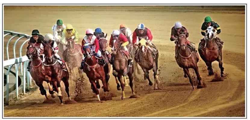 我们如何用半年时间，梳理出百年武汉赛马史？