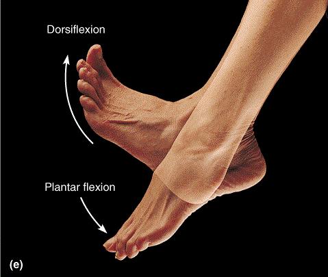 小腿肌肉拉伤休息多久,小腿肌肉拉伤症状图片