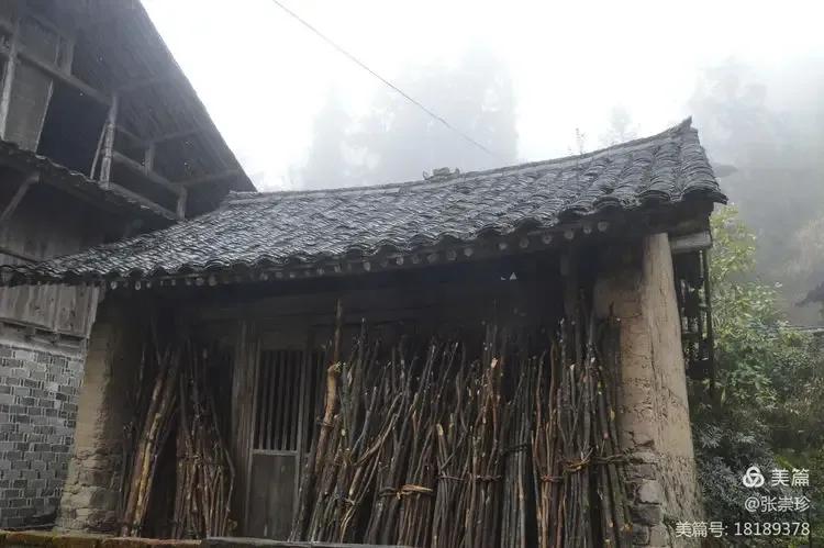 泰顺葛洋陶氏三兄弟修建的三条古道，等你来打卡～