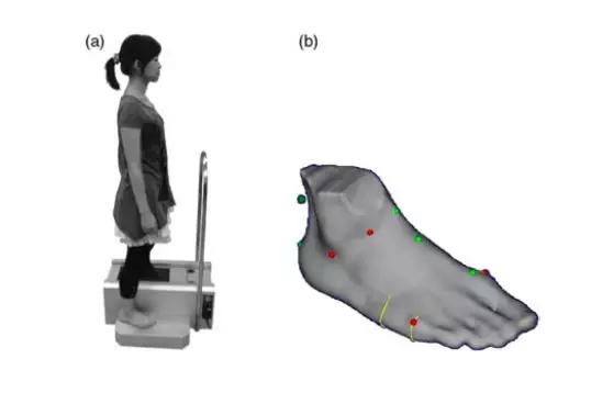 罗马脚埃及脚希腊脚的区别,希腊脚埃及脚罗马脚各的优缺点