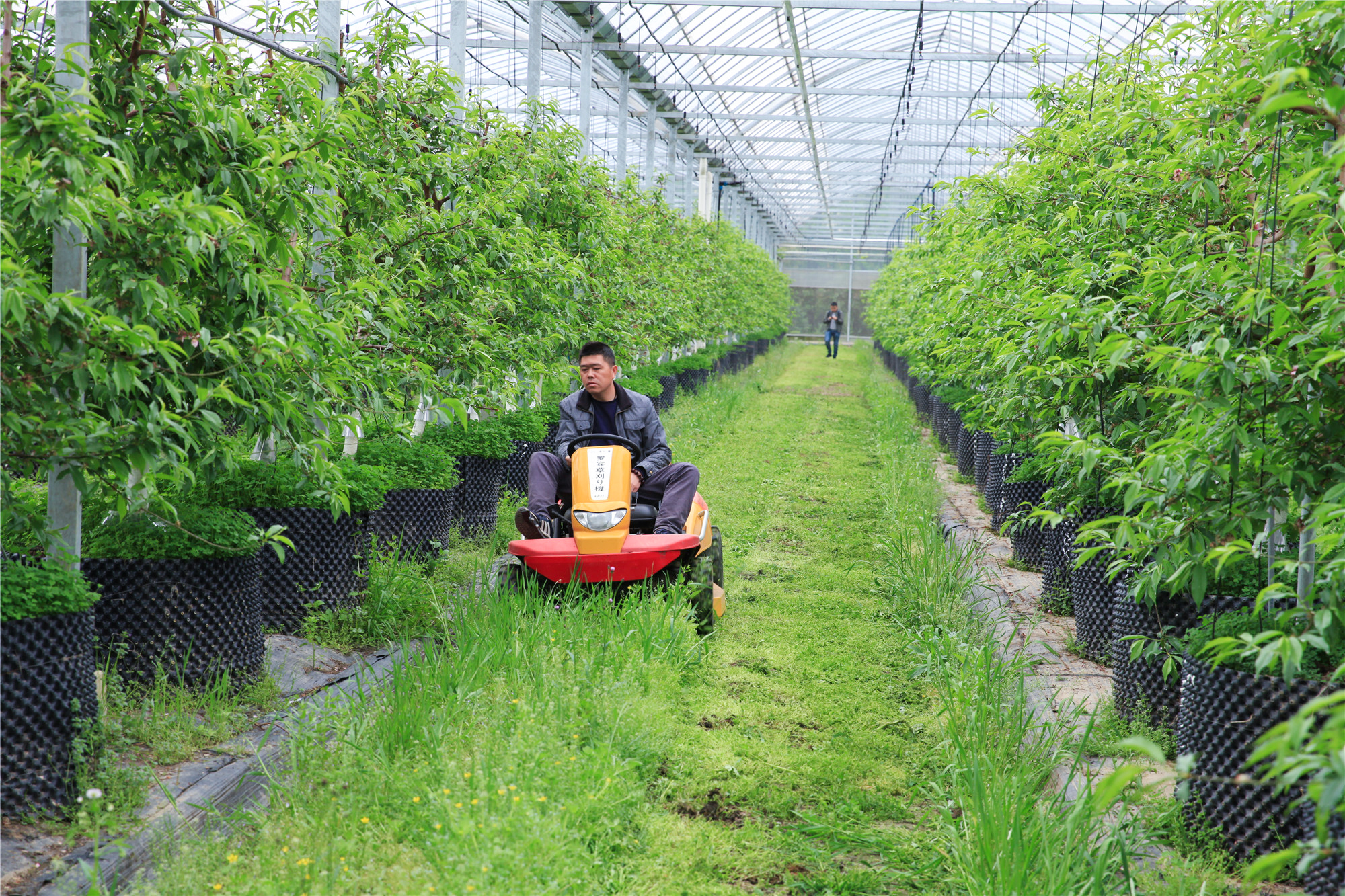 500元的割草机贵吗,割草机大型500块钱