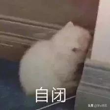 牙膏也有中药版,牙膏也有镭射