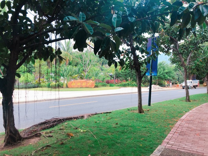 冲浪旅游地,海南万宁必去打卡