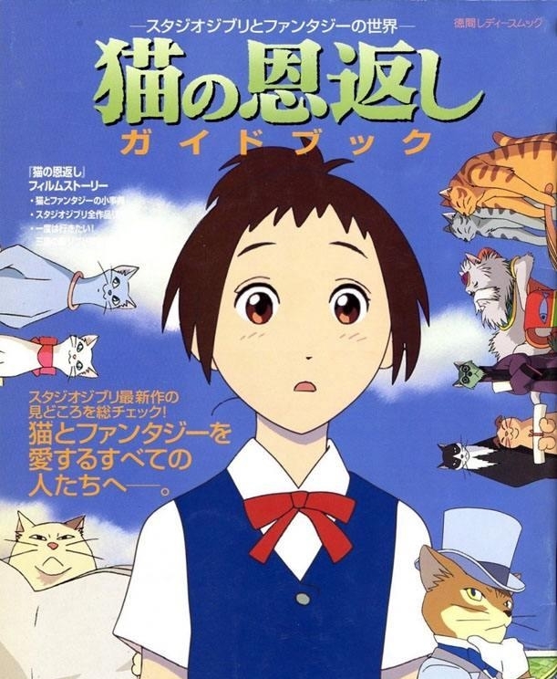 猫的报恩在哪里才看得到,猫的报恩行为