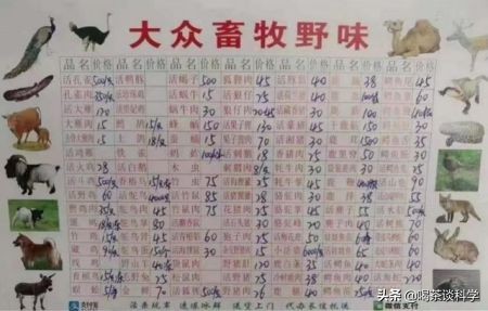 蝙蝠疫情的认识,蝙蝠疫情的危害