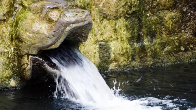 相亲适合去吃什么,济南槐荫区适合相亲约会餐厅