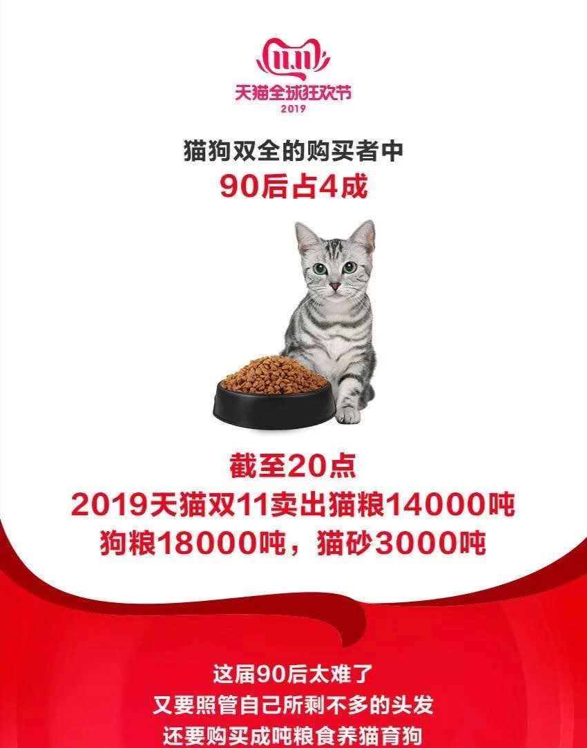 新兴职业时间自由收入又高？来看看一位90后猫舍店主的真实经历