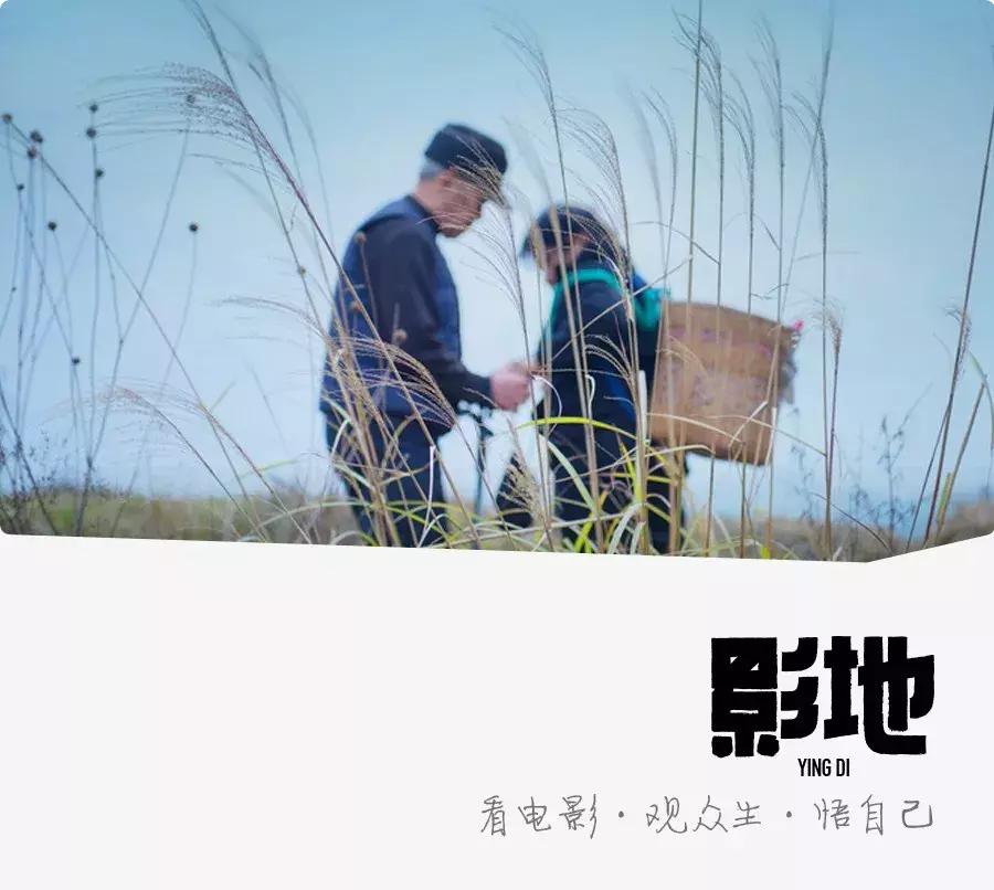 这个男人4年只花1500块陪父母，却看哭千万中国人，巩俐为他点赞