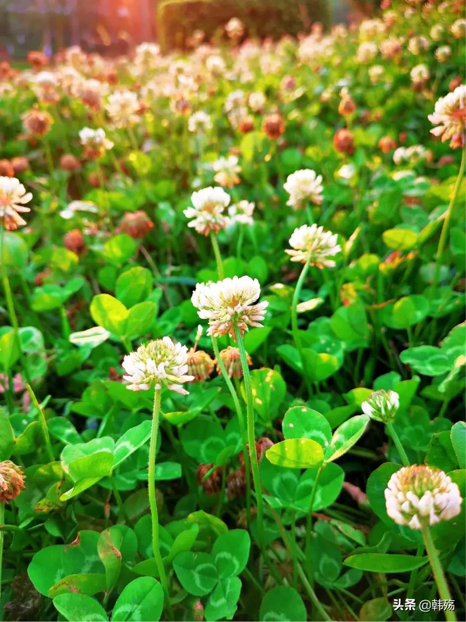 出游不必远行,出游不再烦恼