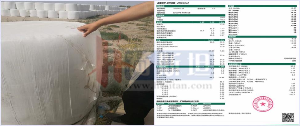 乐源牧业现有几个牧场,乐源牧业大名县牧场