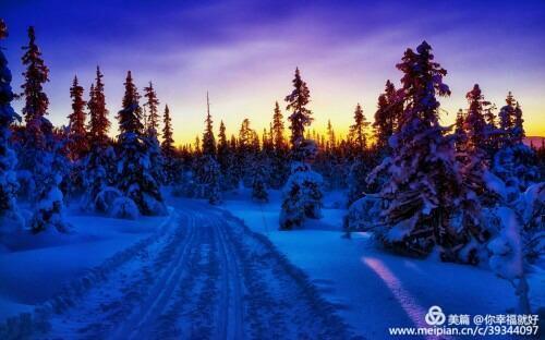 鐗╂崲鏄熺Щ閲夎壊涔嬪厜,鐗╂崲鏄熺Щ鍏ㄩ儴浣滃搧