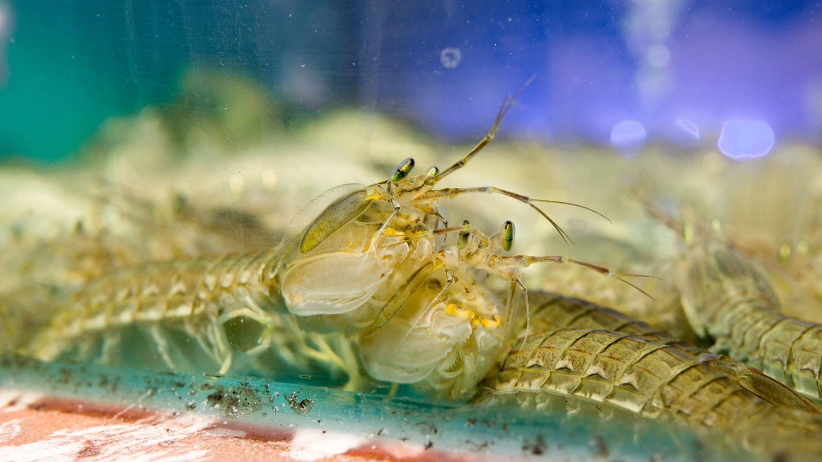 海南海鲜市场套路,卖海鲜的套路和技巧