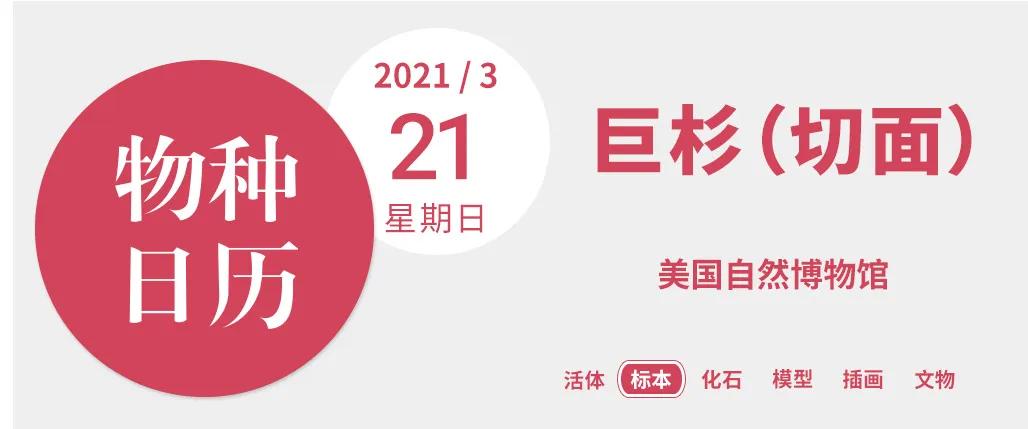 人类用8年就灭亡的动物,人类用八年就灭杀的动物