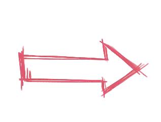 广西红火蚁咬伤事件,红火蚁入侵防城港市