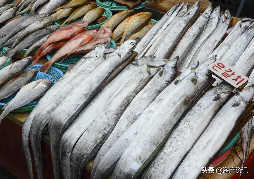 明明是纯天然的深海贵族，为什么却成了中国最平民的海鲜？