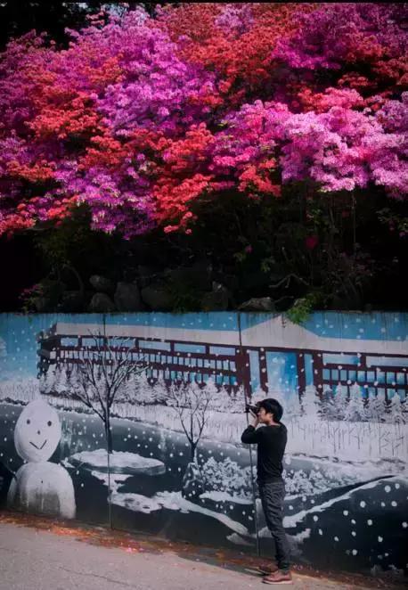 亚洲宜居城市排名2019,中国唯一一个国际评选的宜居城市