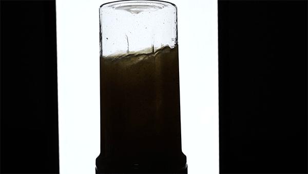 10种又好吃又简单的果汁做法,怎样做出好喝的果汁