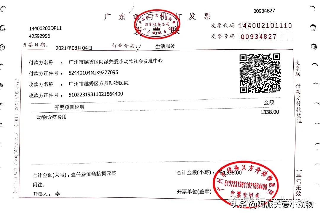 阿派志愿者救助一只流浪猫,阿派救助流浪猫