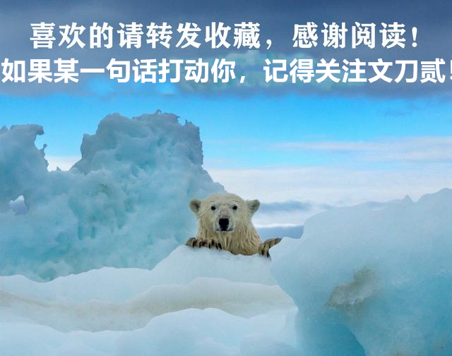 李玟谈自己怀孕,曝李玟做人工受孕