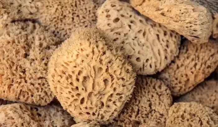 夏天就应该和大海亲密接触,每天都要与大海亲密接触