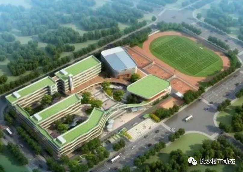 岳麓区规划中小学,岳麓区打造分校