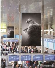 富发MIMAKI新款上市：UV固化喷墨打印机「UJV100-160」