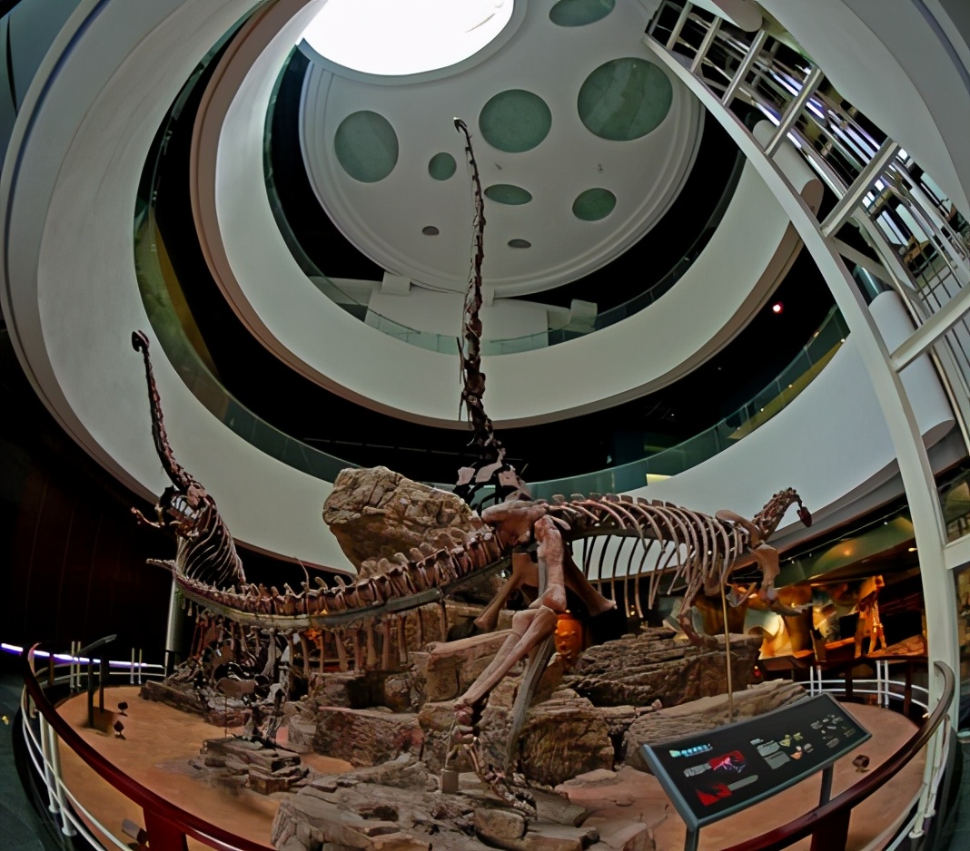 昆明动物博物馆免费开放时间,昆明博物馆和云南博物馆哪个好