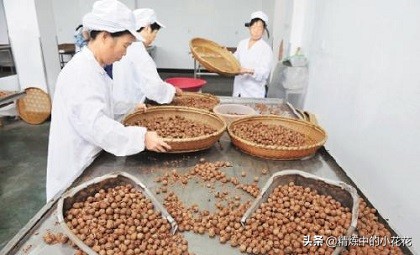 扶贫核桃加工,扶贫核桃油