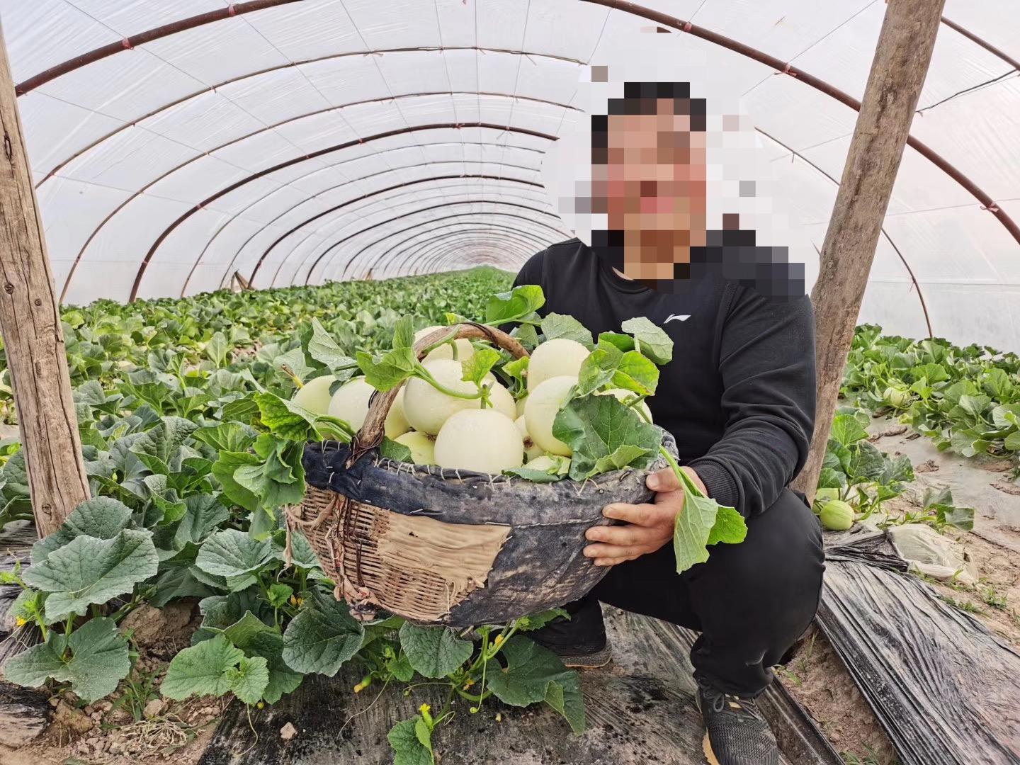 100个闷声发大财案例,讲一个闷声发大财的故事