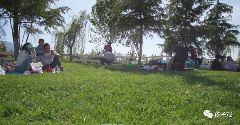 太阳葡萄小镇亲子乐园,亲子游太阳葡萄小镇