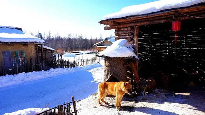 不忽悠！“拔草”吉林这些小村屯才不辜负这个冬天
