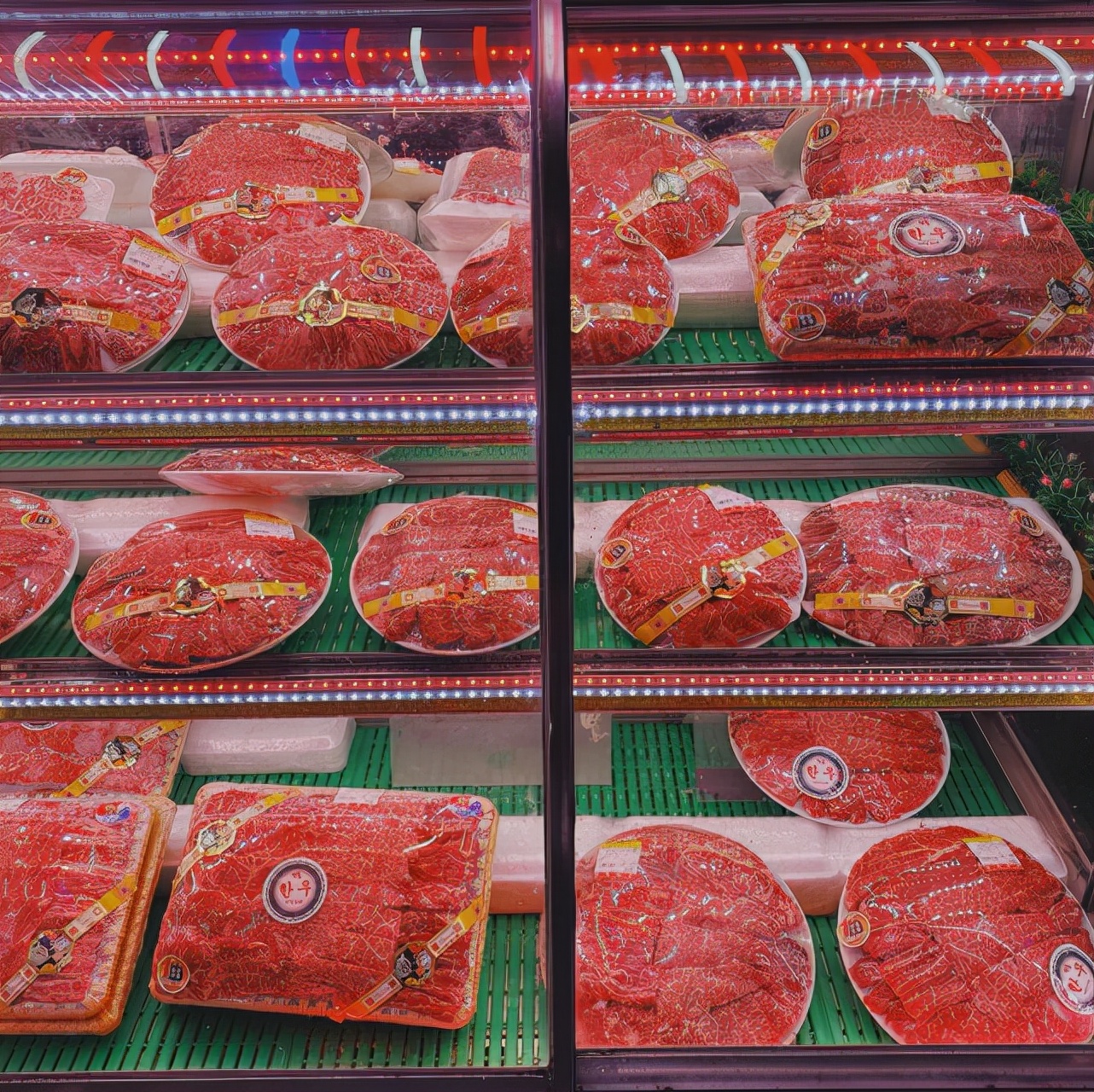 韩国白菜价格疯涨是真的吗,韩国大白菜飙涨62元一棵