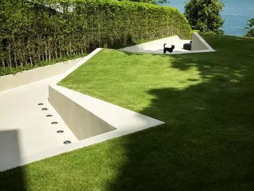 花园草地打理,花园草坪养护