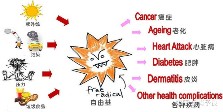 抗氧化精华油推荐,抗氧化的精华推荐平价学生