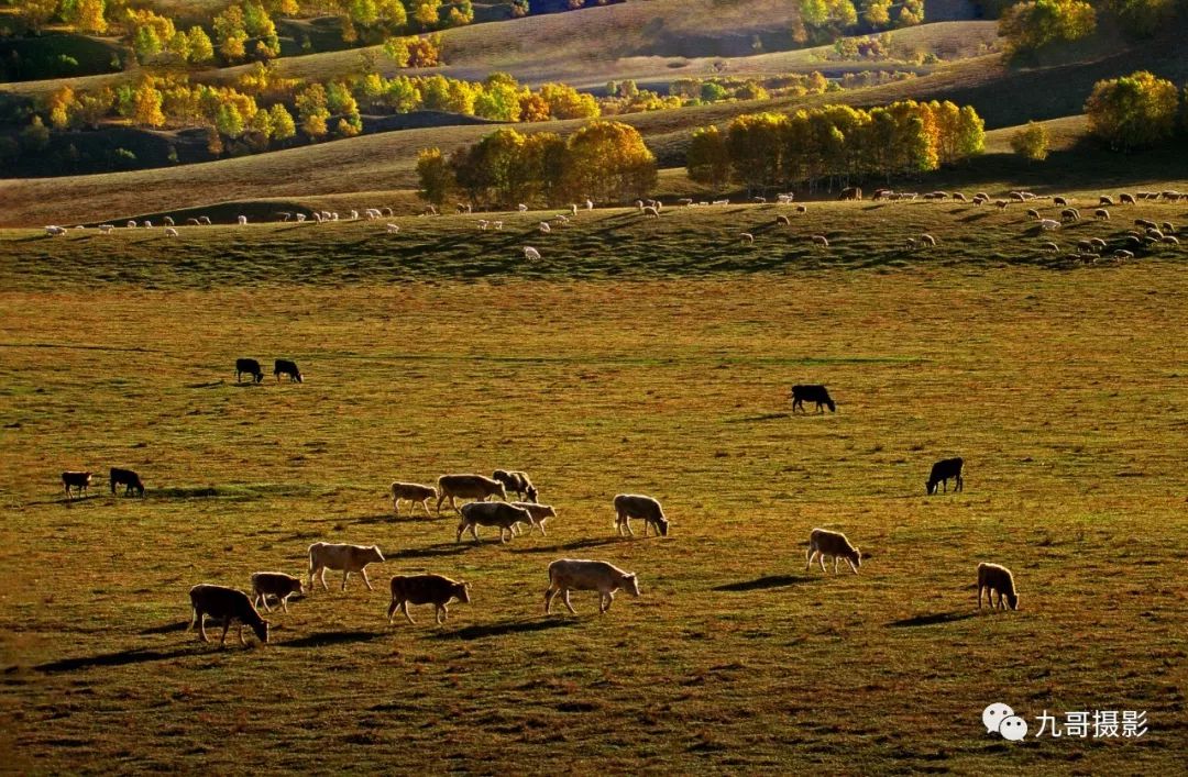 坝上草原天路美景,大美坝上风光系列之一