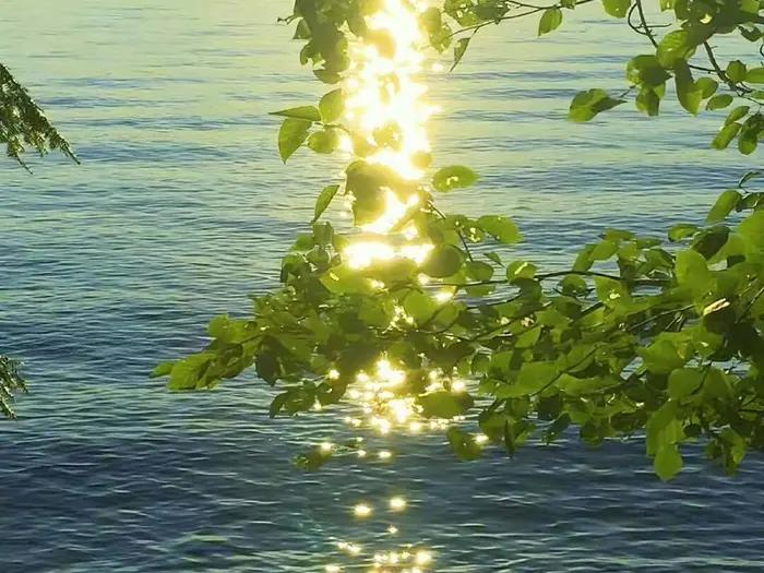 有一种感觉叫说不出话,有一种控制不住自己的感觉